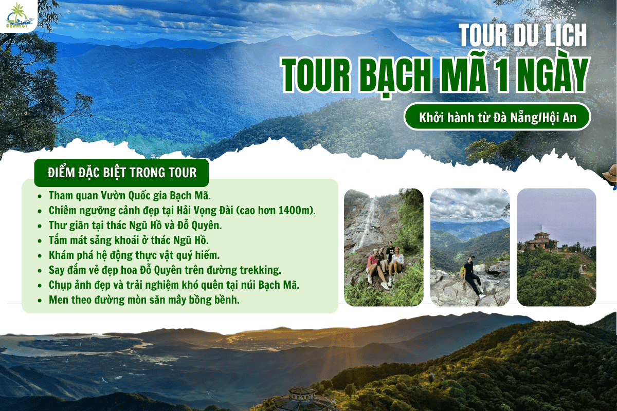 TOUR BẠCH MÃ  TREKKING 1 NGÀY TỪ ĐÀ NẴNG/HỘI AN – ĐỈNH BẠCH MÃ, NGŨ HỒ & THÁC ĐỖ QUYÊN