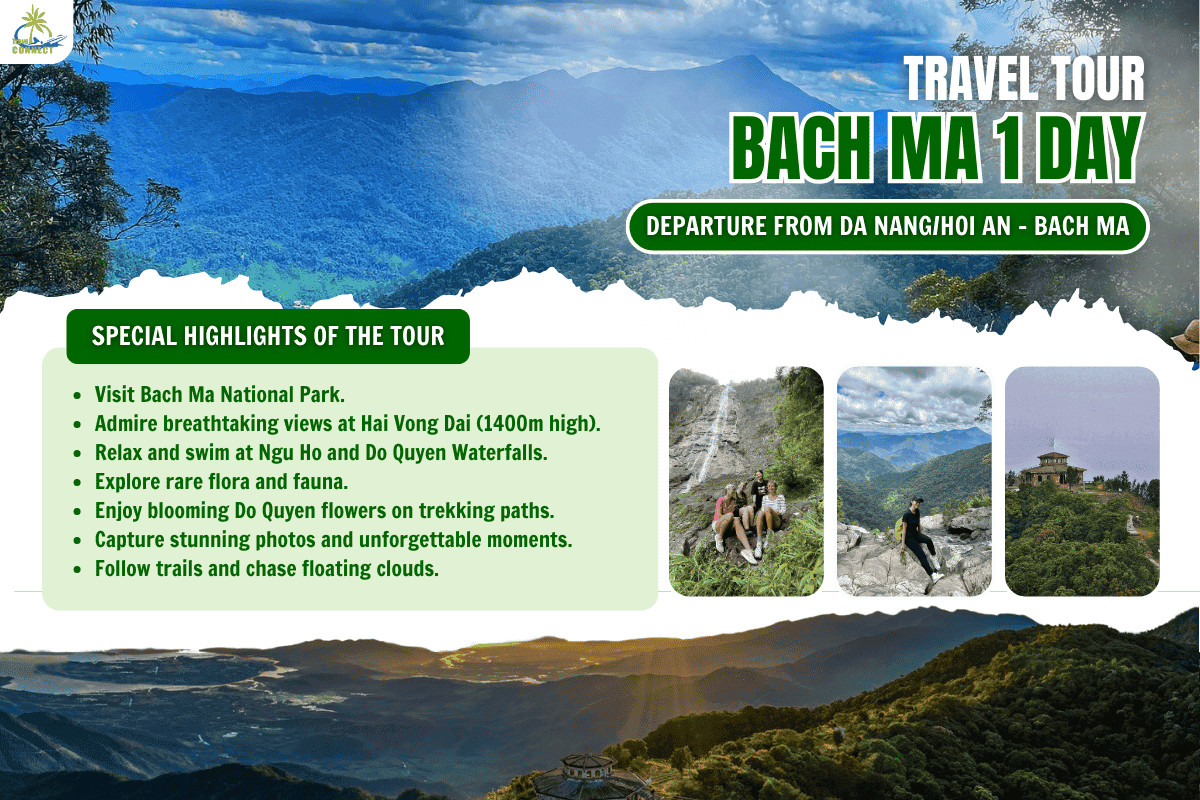 BACH MA NATIONAL PARK TREKKING 1-DAY TOUR FROM DA NANG/HOI AN